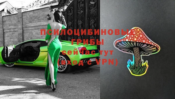 крисы Армянск