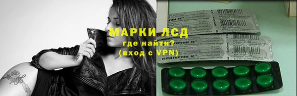 a pvp Аркадак