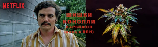 крисы Армянск