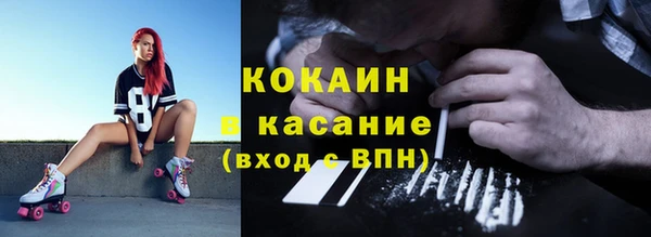 крисы Армянск