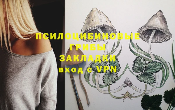 крисы Армянск