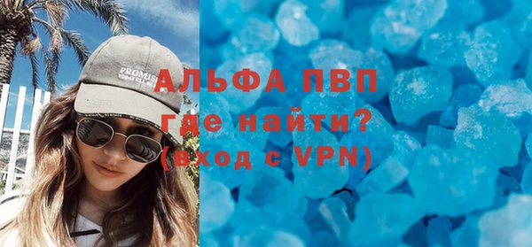 a pvp Аркадак
